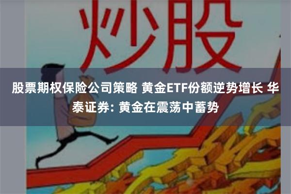 股票期权保险公司策略 黄金ETF份额逆势增长 华泰证券: 黄金在震荡中蓄势