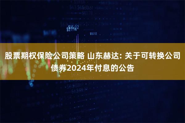 股票期权保险公司策略 山东赫达: 关于可转换公司债券2024年付息的公告